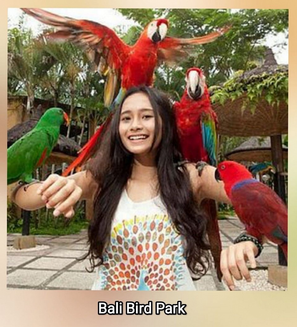 Bali Bird Park