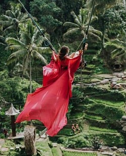 Bali Jungle Swing
