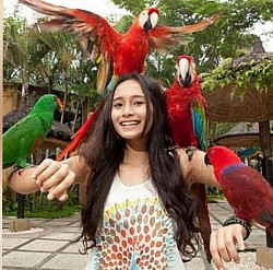 Bali Bird Park