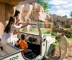 Bali Safari and Marine Park