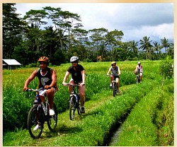 Cycling Tour
