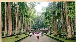 Sangeh Monkey Forest