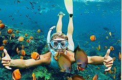 Snorkeling